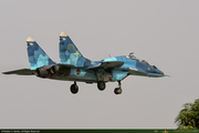 BAF-28375_1_16PX.jpg