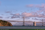 BayBridge1_16PX.jpg