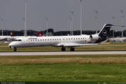 D-ACNC_1_16PX.jpg
