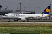 D-AIUY_1_16PX.jpg