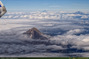 N54558_1_16PX.jpg
