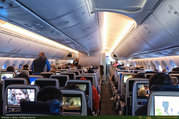 N81110_1_16PX.jpg