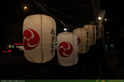 OrnateLamps_1_16PX.jpg