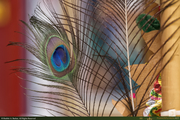 Peacock_Feather_1_16PX.jpg