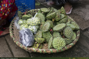 YangonFruits1_16PX.jpg